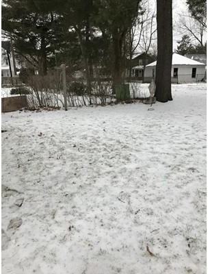 152 Oak St #A - Photo 3 of 12