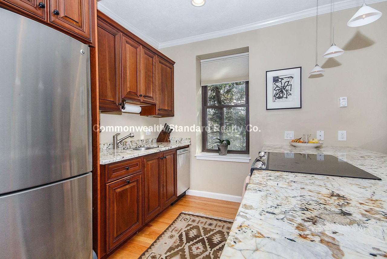 231 West Newton Street - Photo 2 of 15