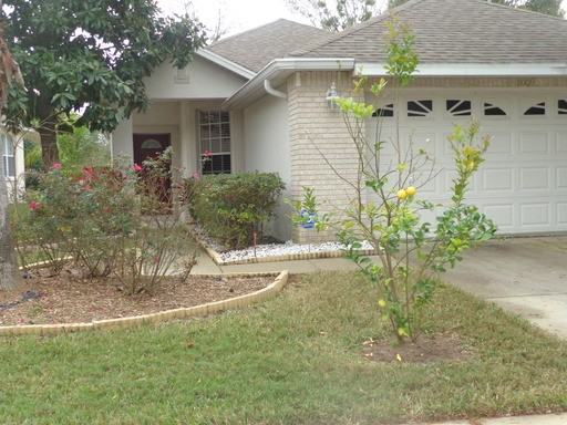 1009 St Ives Ct - Photo 2 of 21