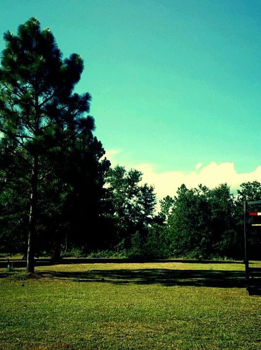 2317-31 Mack English Rd - Photo 2 of 2