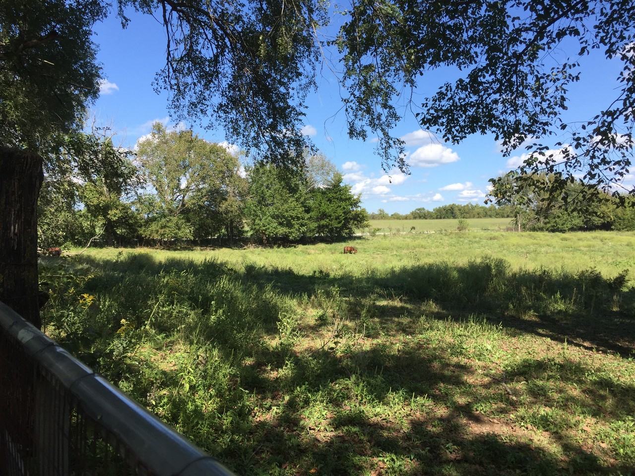 37149-37053 W 351st St - Photo 2 of 15