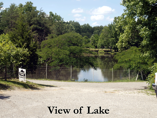 620 Allie Lane - Photo 3 of 17