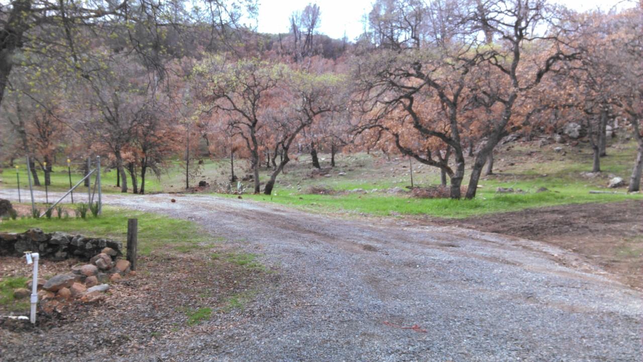 356 Chinese Wall Rd - Photo 2 of 8