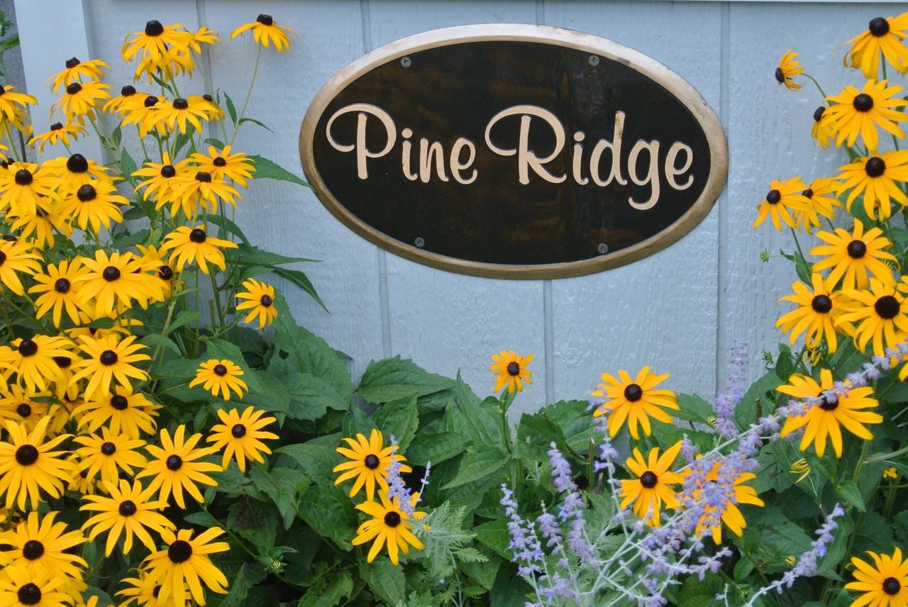 15 Pineridge Rd - Photo 2 of 22