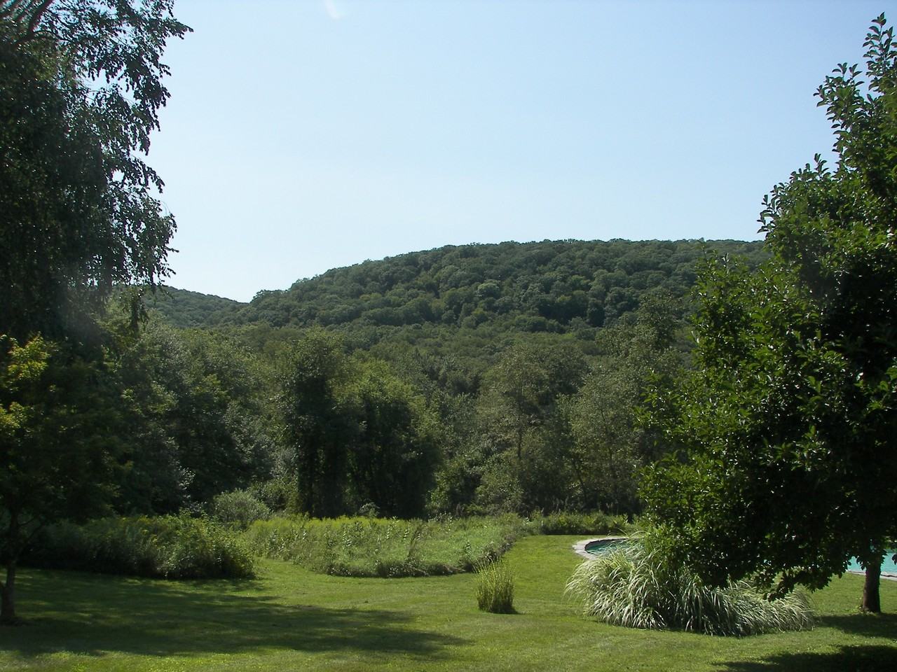 109 Nettleton Hollow Rd - Photo 3 of 10