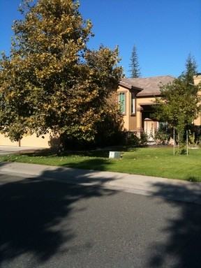416 Fisher Cir - Photo 2 of 13