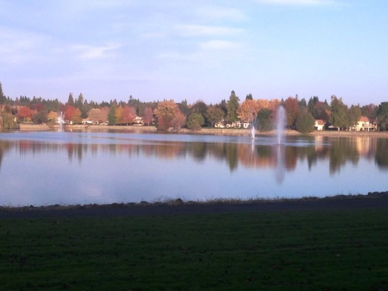 14846 Lago Dr - Photo 2 of 7