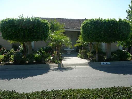 9951 Wildwood Way - Photo 2 of 11