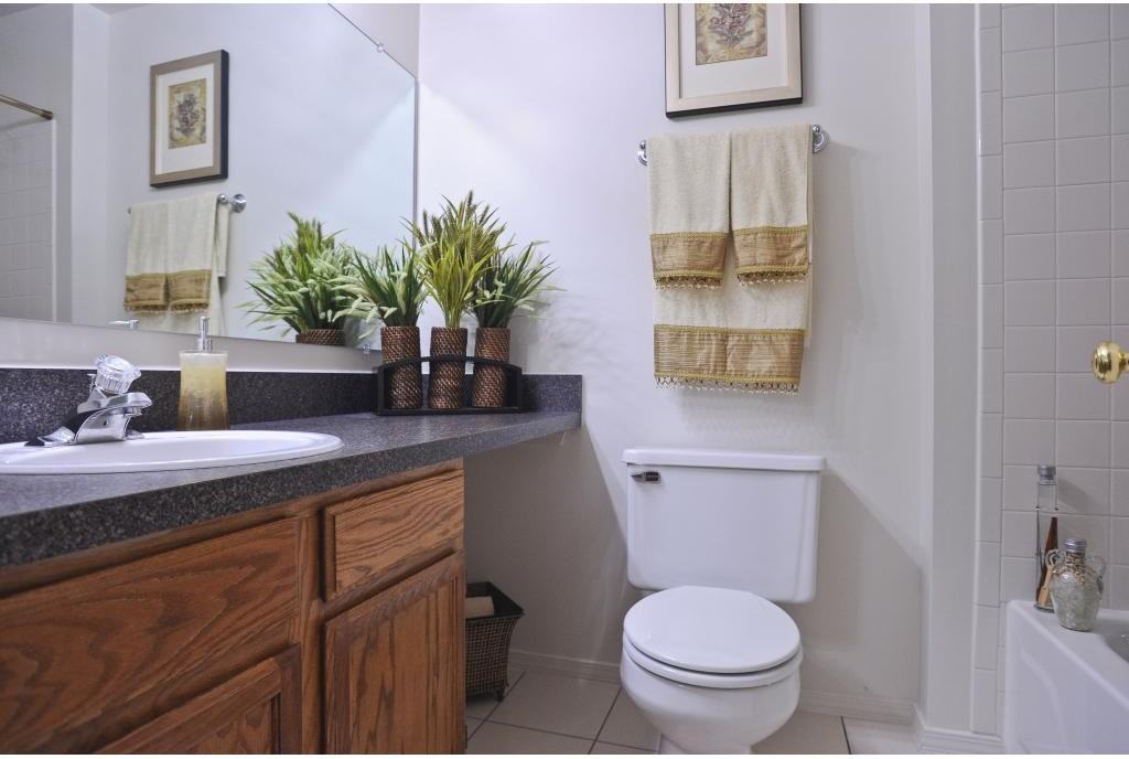 TGM Park Meadows - Photo 3 of 19