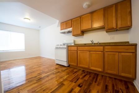 Pangea Lakes Apartments 13358 S Michigan Ave Unit MIC13358, Chicago