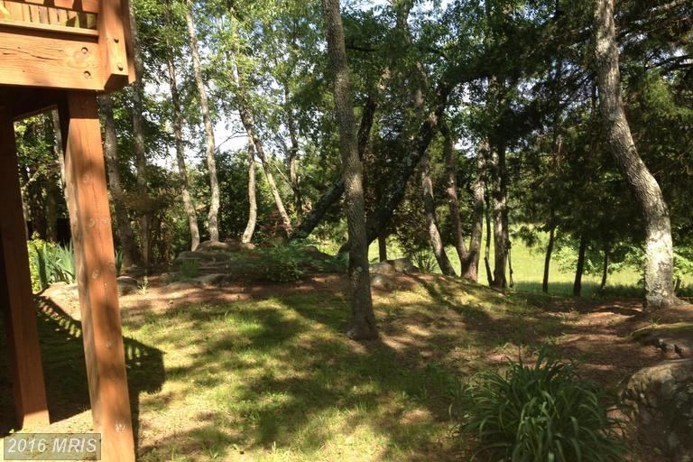 98-20 Cabin Ln - Photo 3 of 29