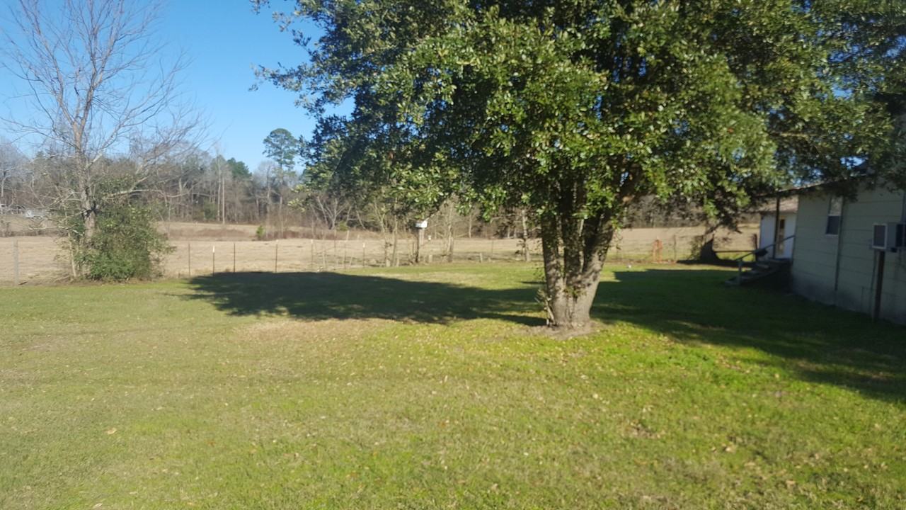 3953 FM1669 - Photo 2 of 21