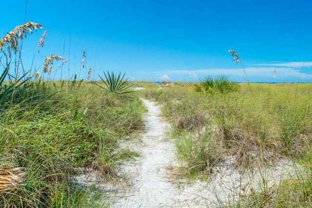 3522 El Centro St - Photo 2 of 37