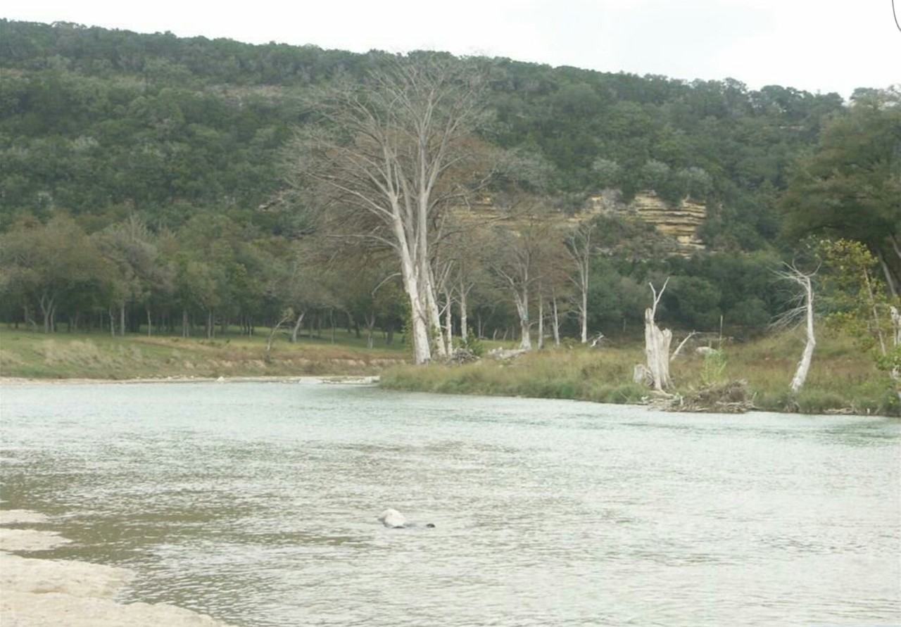 201 Bluffview Dr - Photo 3 of 30