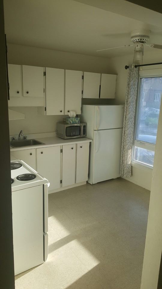 1729 Trappist Lane - Photo 2 of 9