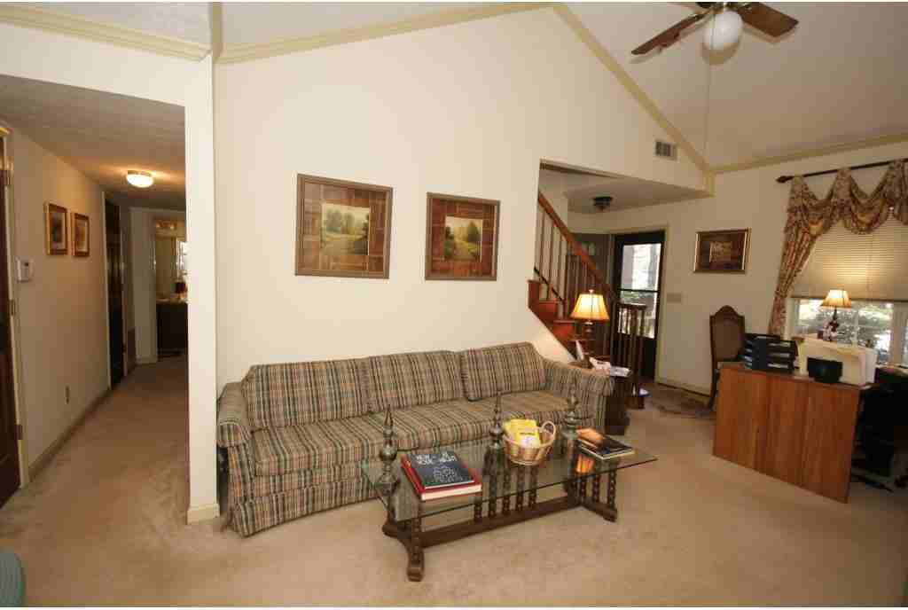 Tanaga Forest - Photo 3 of 14