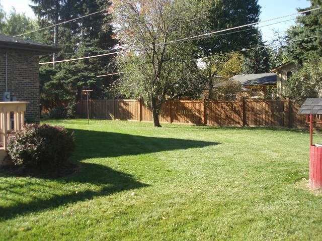 528 N Locust St - Photo 2 of 16