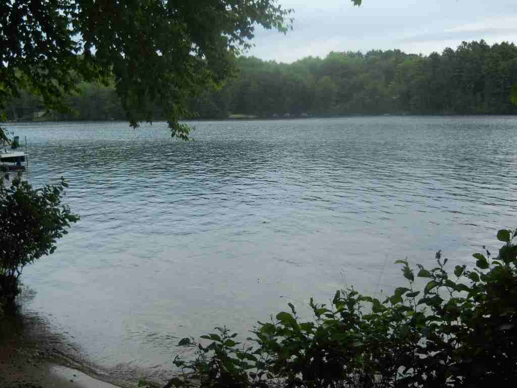 141 Ayers Cove Dr - Photo 3 of 18