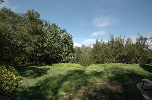 26820 Banbury Dr - Photo 3 of 26