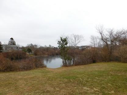 130 S Forest St - Photo 2 of 15