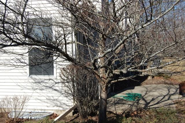 341 Berkshire Dr #341 - Photo 3 of 21