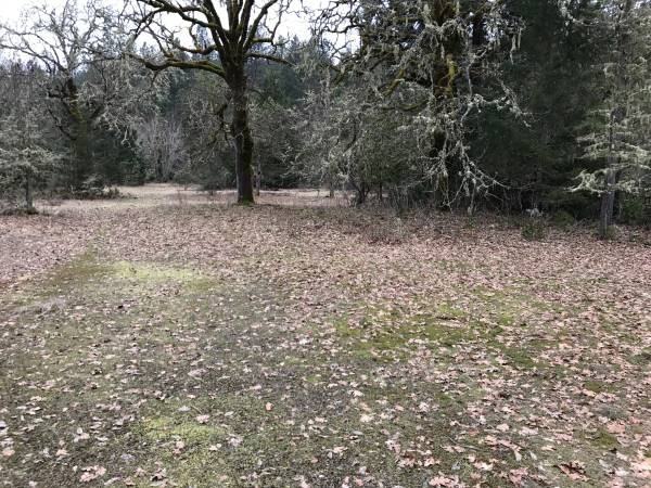 500 Bull Creek Rd - Photo 3 of 4