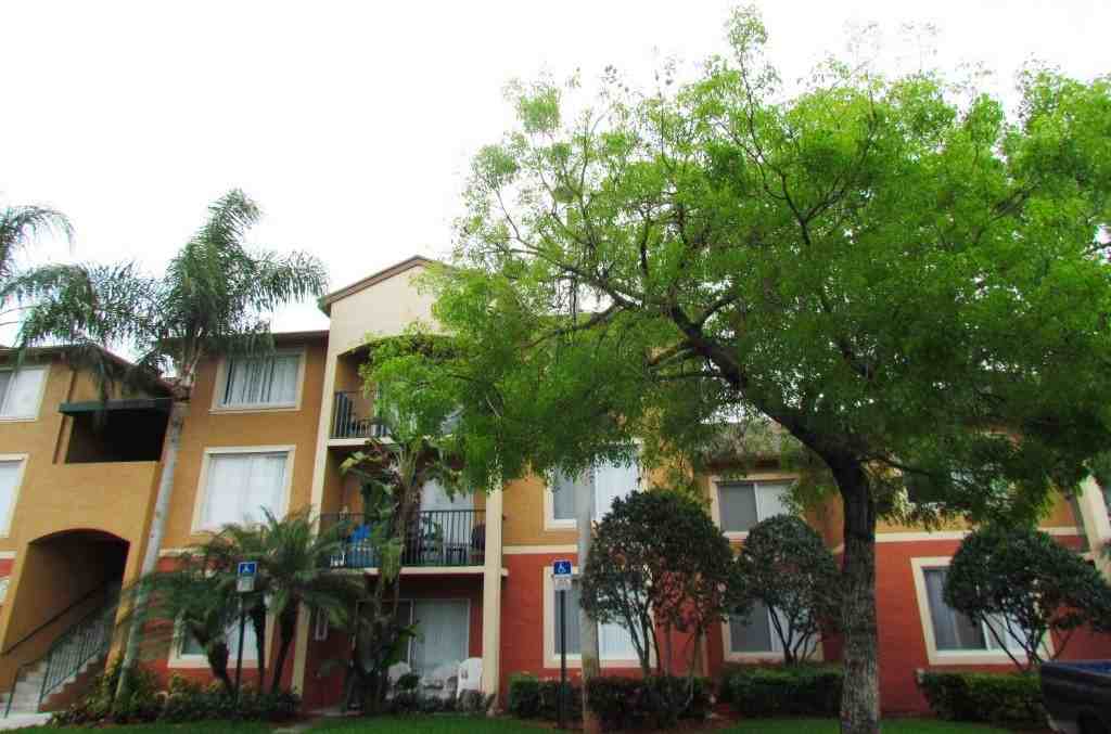 Stirling Apartment Rentals Apartments 7350 Stirling Rd, Hollywood, FL