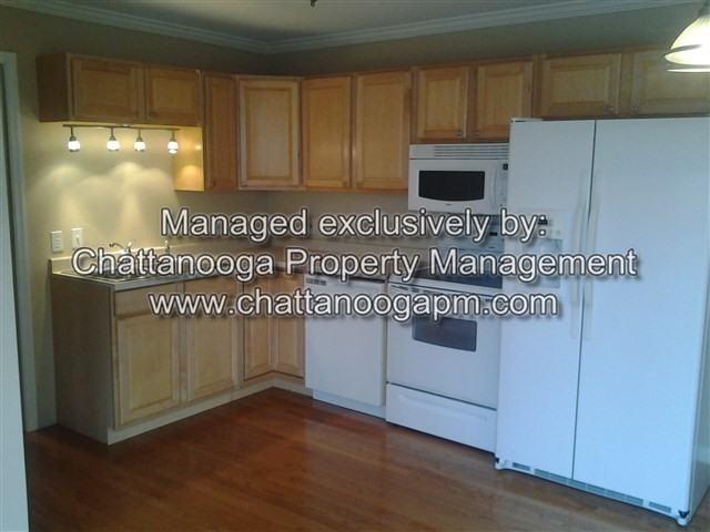 446 Patty Rd - Photo 2 of 17