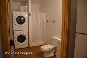 403 Freetimber Ln - Photo 2 of 5