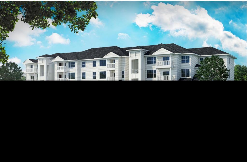 Timbers - Photo 2 of 19