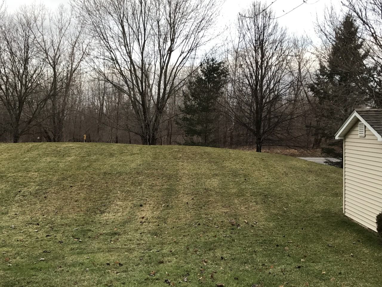 540 Countess Dr - Photo 3 of 9