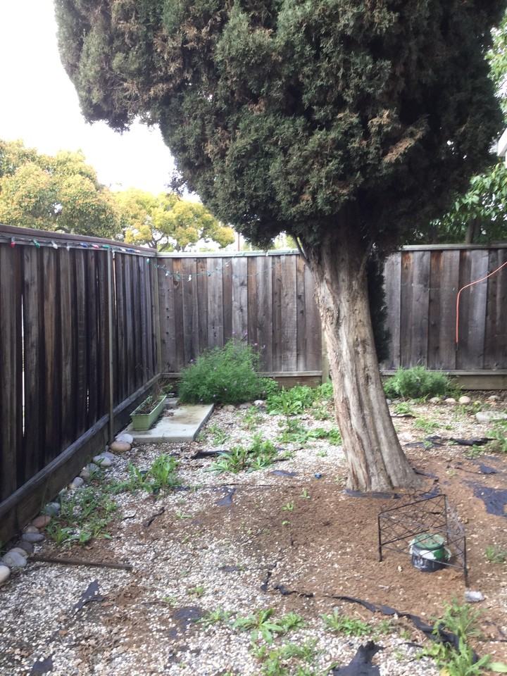 3121 Alma St - Photo 2 of 9