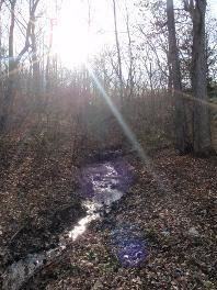 511 Dogwood Ln - Photo 3 of 3