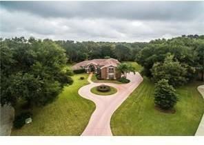 1321 Otters View Ct - Photo 3 of 26