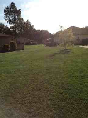 25324 Village Dr - Photo 3 of 3