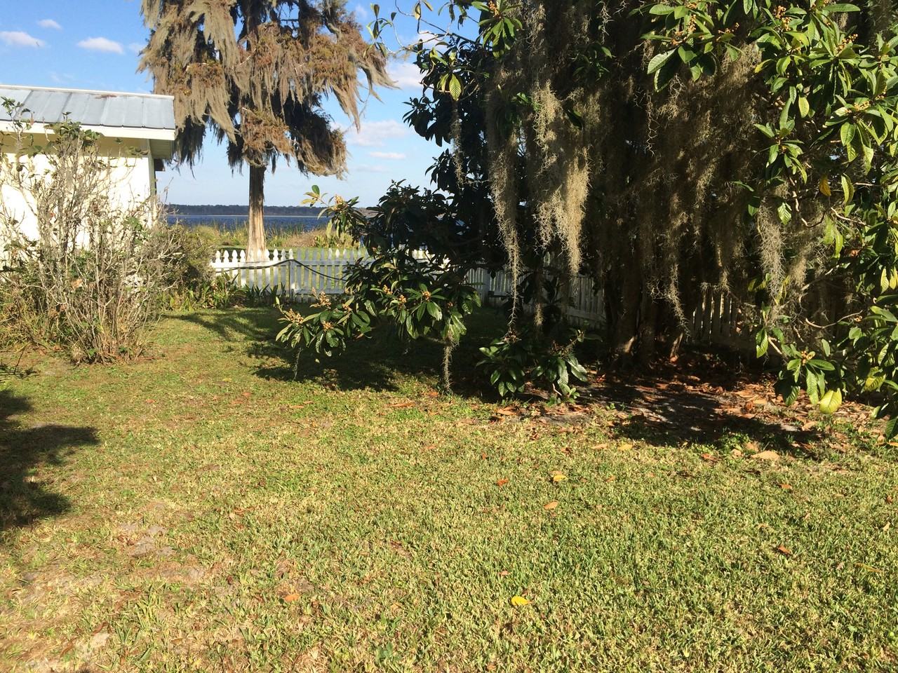 3125 3125 CR 432 A - Photo 3 of 13