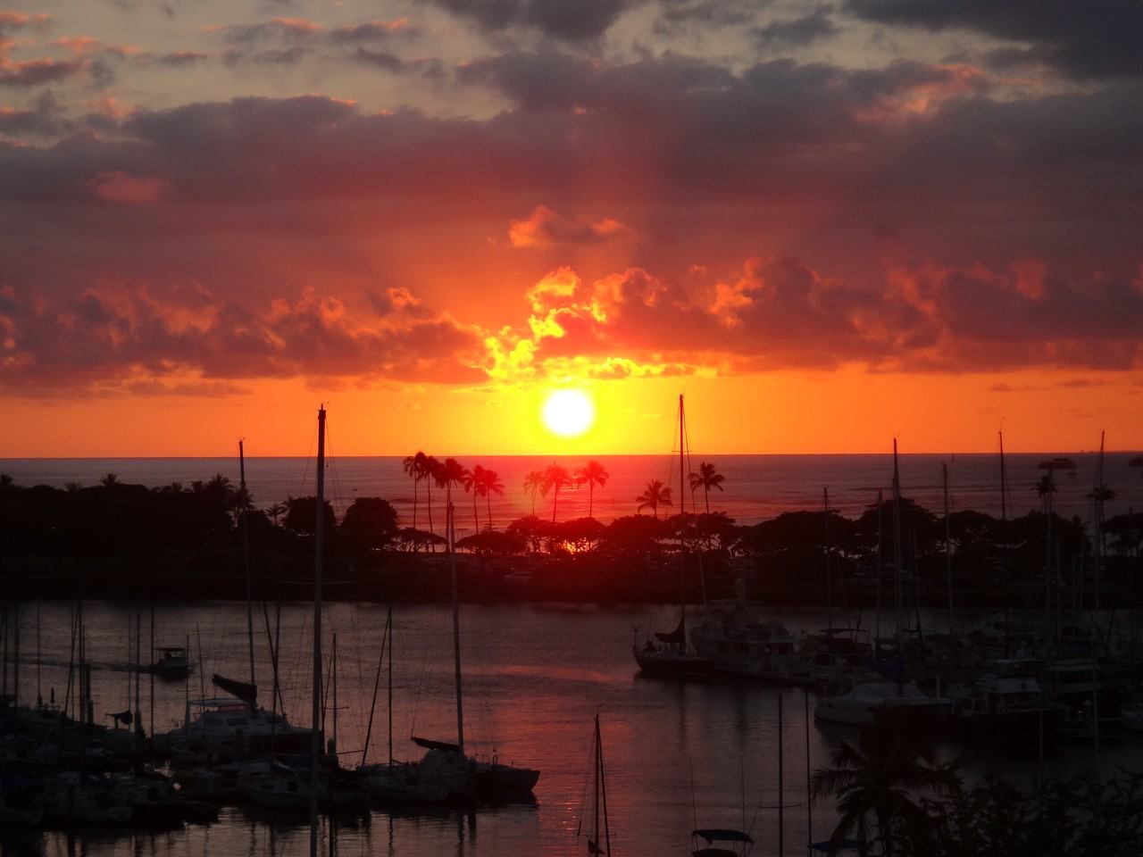 1676 Ala Moana Blvd #604