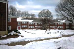 Forest Hill Properties - Photo 2 of 32