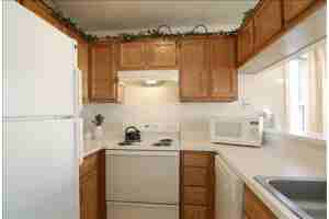 Talleyrand - Photo 2 of 14