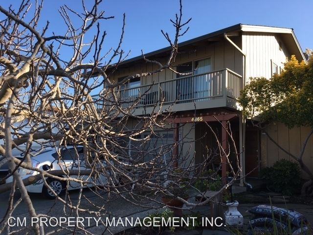 4865 Tonino Dr - Photo 2 of 9