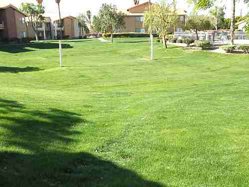 78650 Avenue 42 - Photo 3 of 13