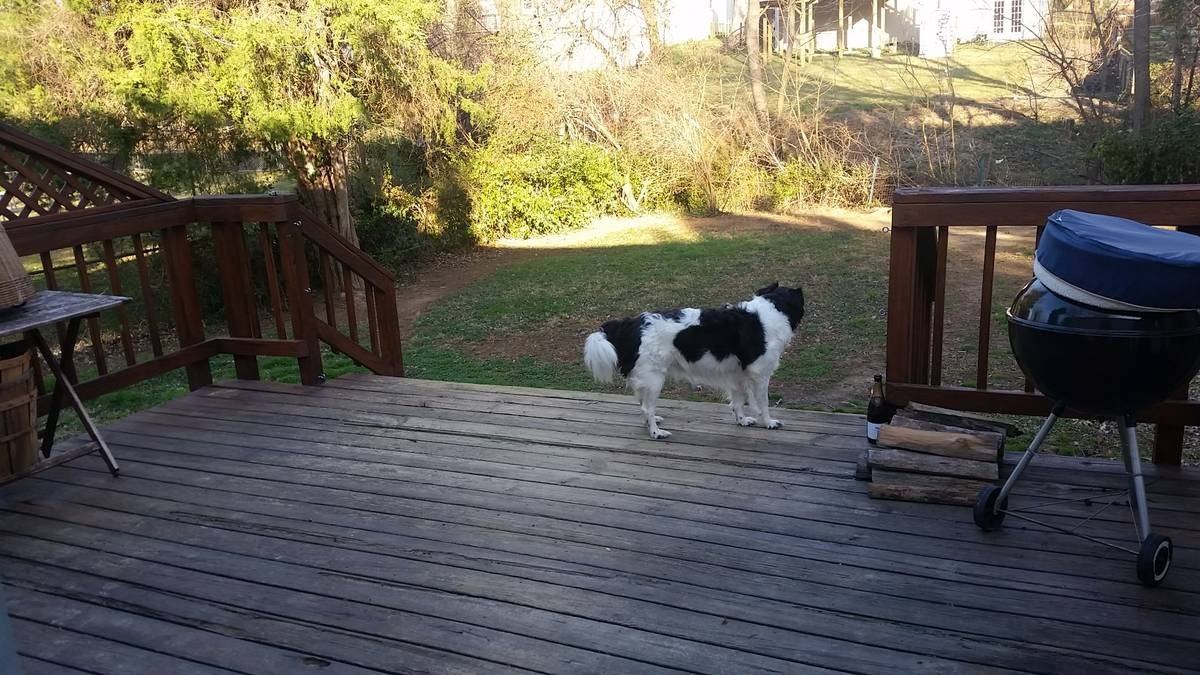 7702 Lunceford Ln - Photo 2 of 8