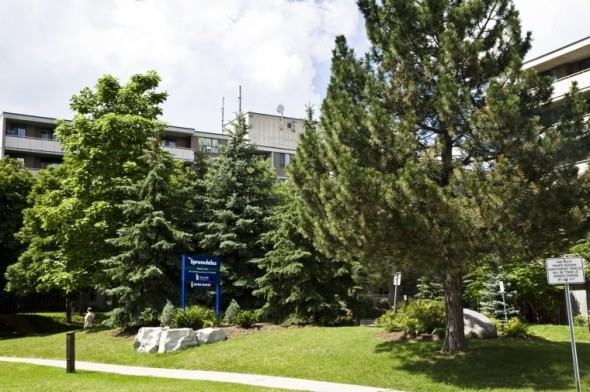 The Sprucedales - Photo 2 of 15