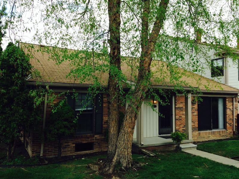 The Winds - Photo 2 of 23