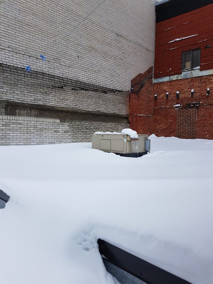928 Rue Sainte-Catherine Est - Photo 3 of 10