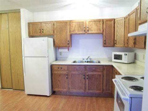 1286 Ponderosa Dr - Photo 2 of 10