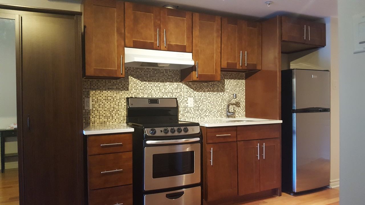 450 Rue Saint Antoine Est 208, Montréal, QC H2Y 1A5 Studio Apartment