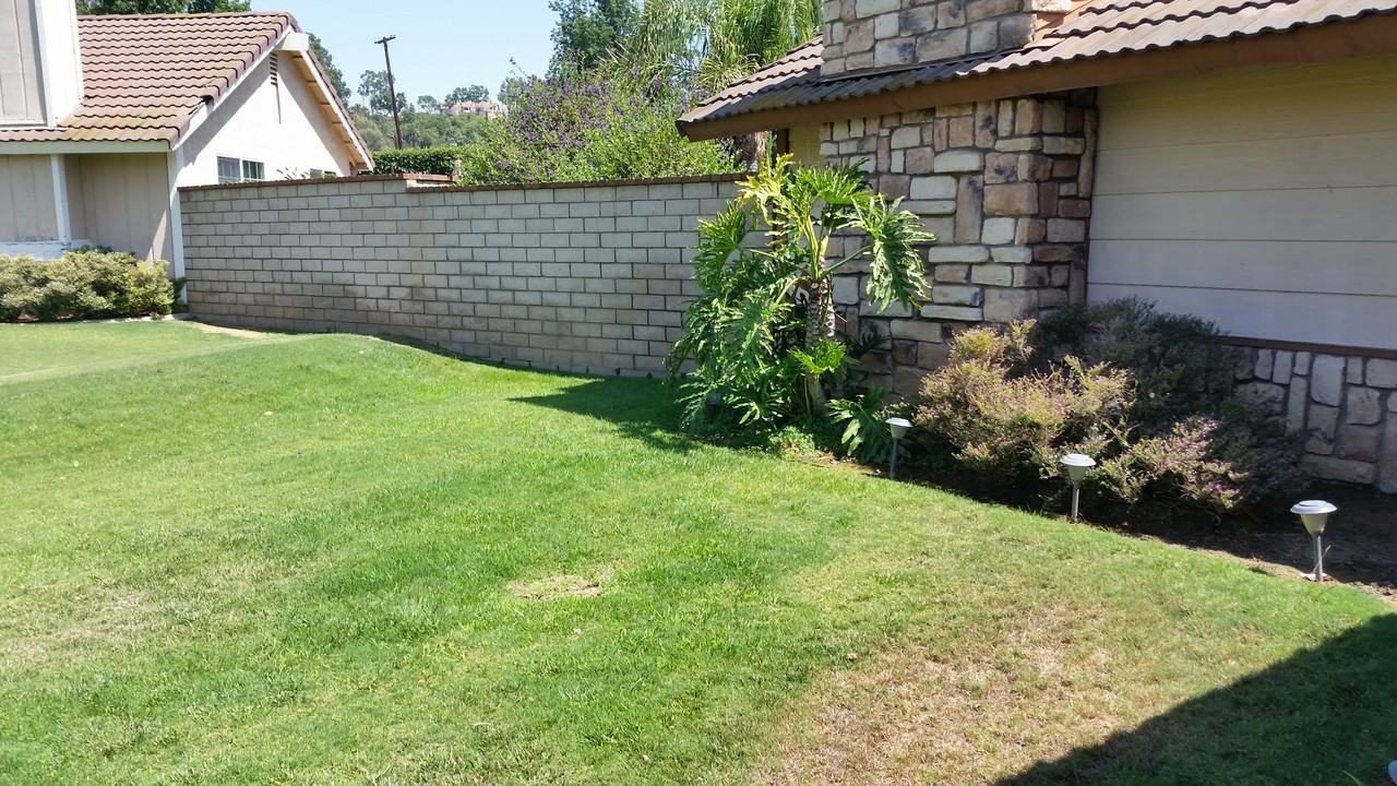 2612 Sovereign Way - Photo 2 of 12