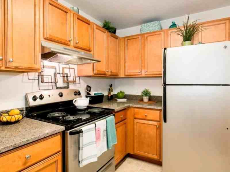 521 Bald Cypress Drive - Photo 2 of 6