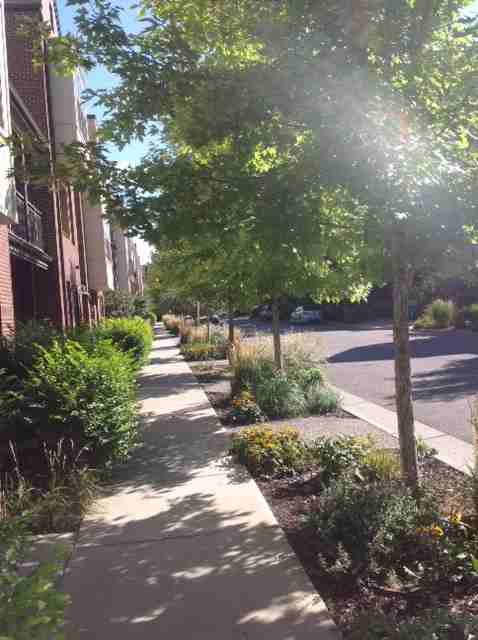 409 South Reed Street - Photo 2 of 19